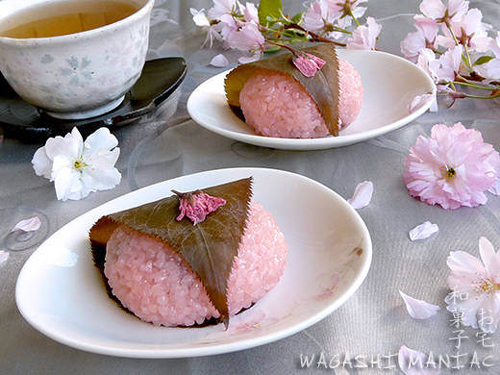 Hướng dẫn làm bánh trung thu Sakura Mochi Nhật Bản ngon hết sẩy