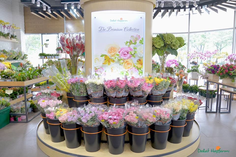 9 shop hoa tươi Đà Lạt, Lâm Đồng nổi tiếng nhất