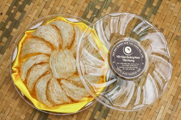 Tổ yến đá cao cấp