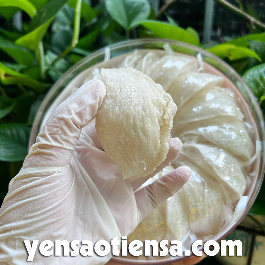 Tổ yến rút lông khô nguyên tổ
