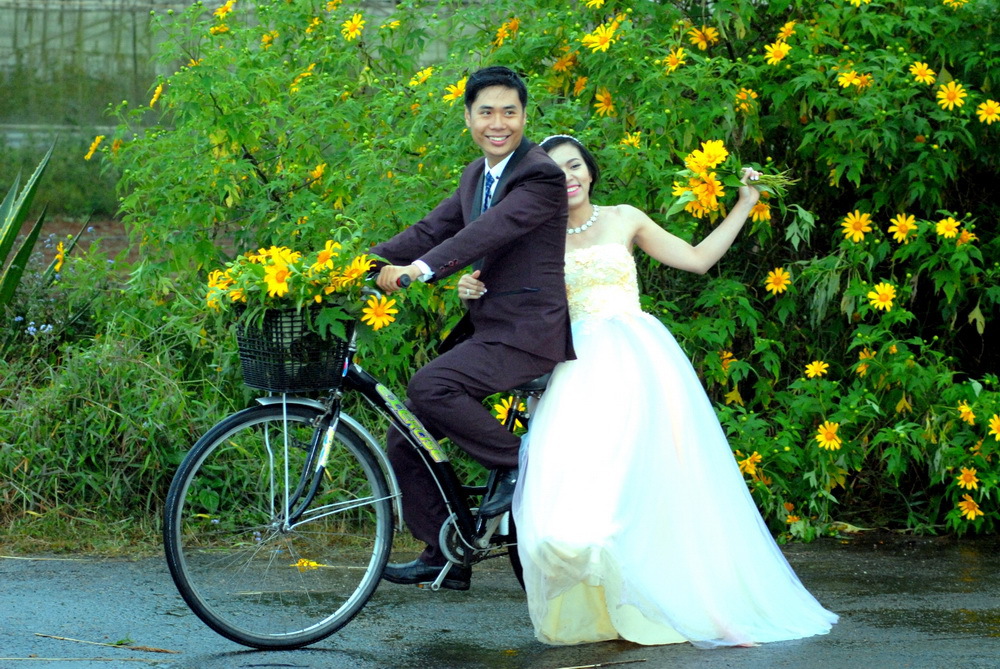 Top 10 địa điểm chụp ảnh cưới Đà Lạt