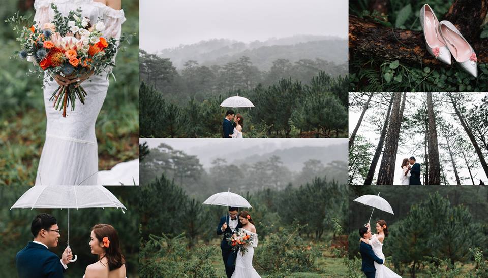 Top 10 phim trường chụp ảnh cưới đẹp nhất Đà Lạt