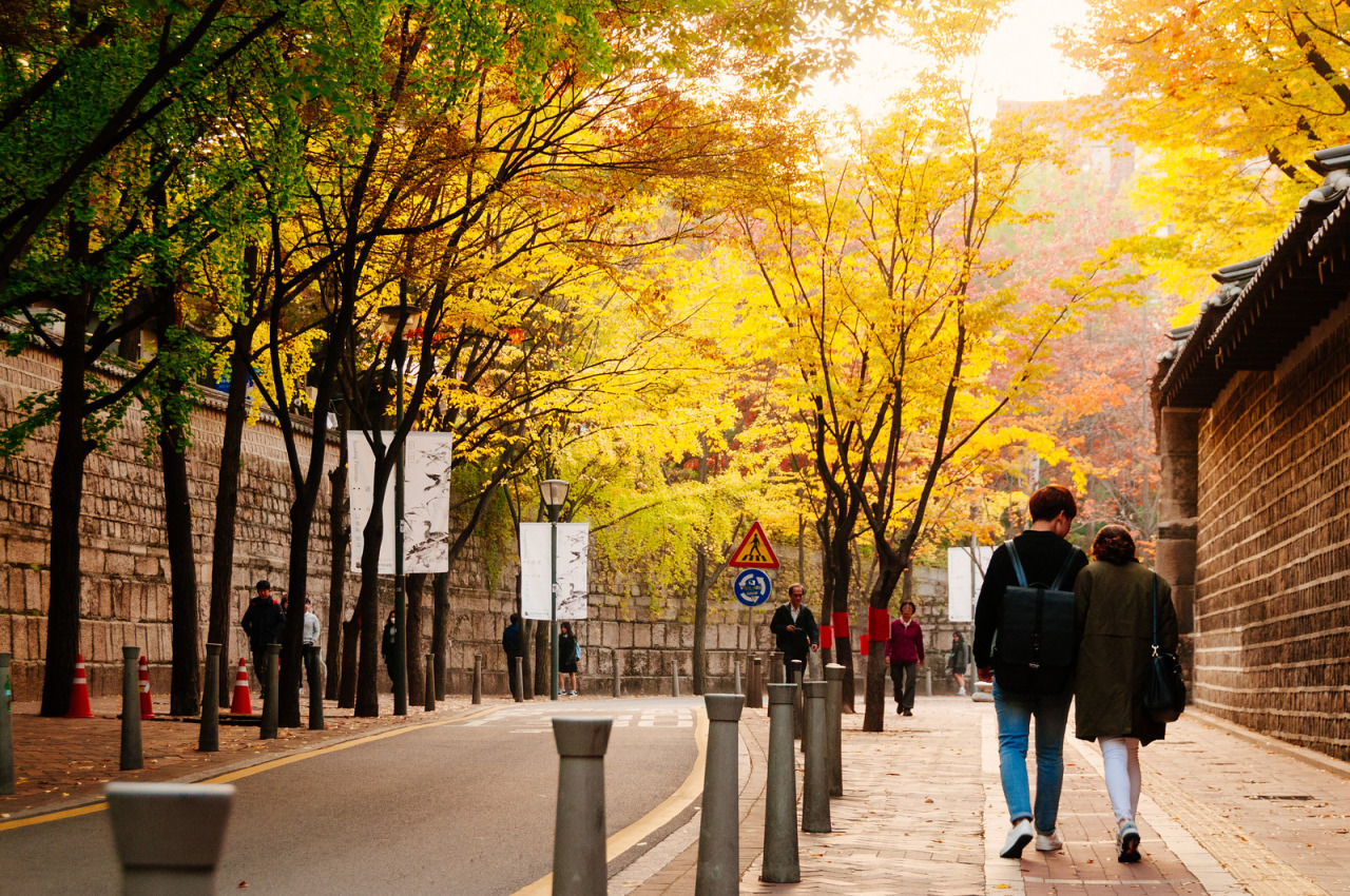 8 trải nghiệm không thể bỏ qua khi đến Hàn Quốc mùa thu