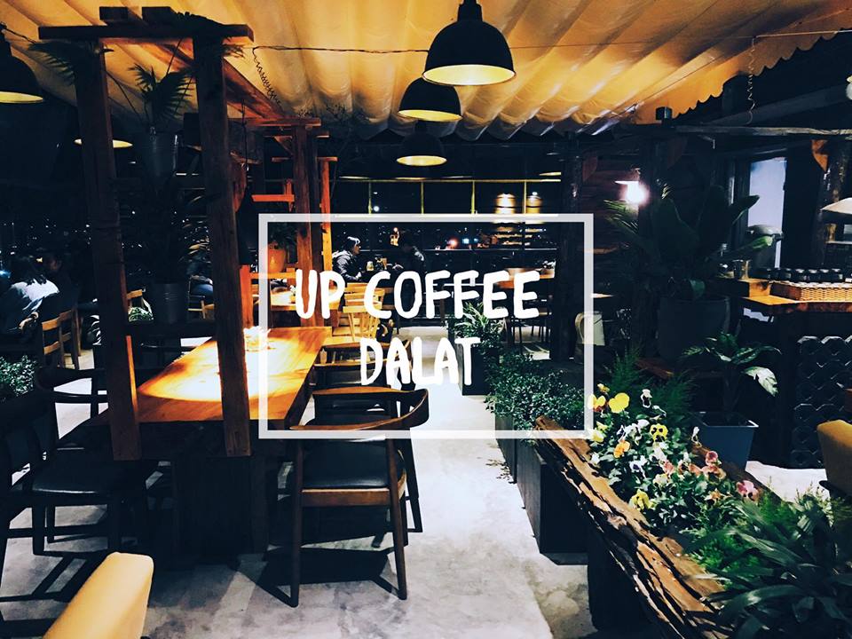 Top 10 quán cà phê đẹp nhất Đà Lạt thỏa sức check in