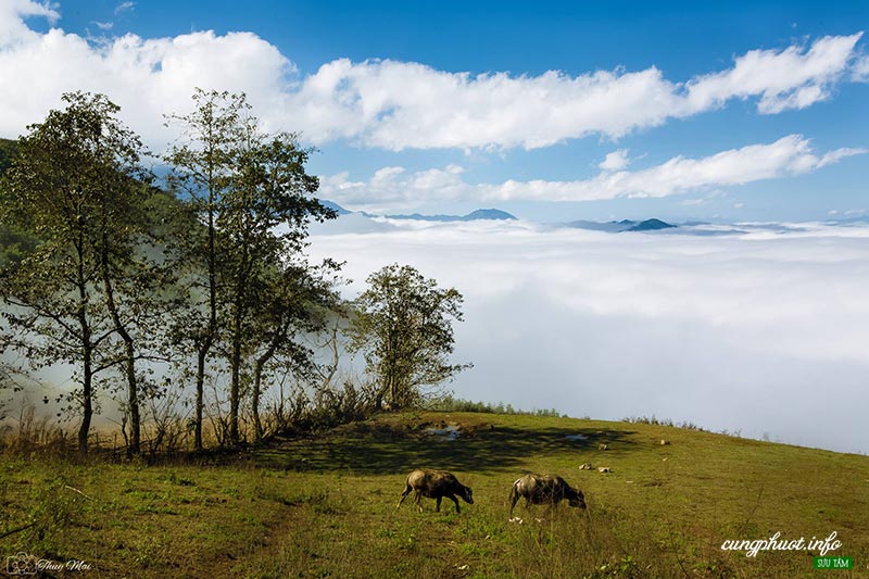 Top 8 địa điểm săn mây đẹp nhất Sapa không thể bỏ qua