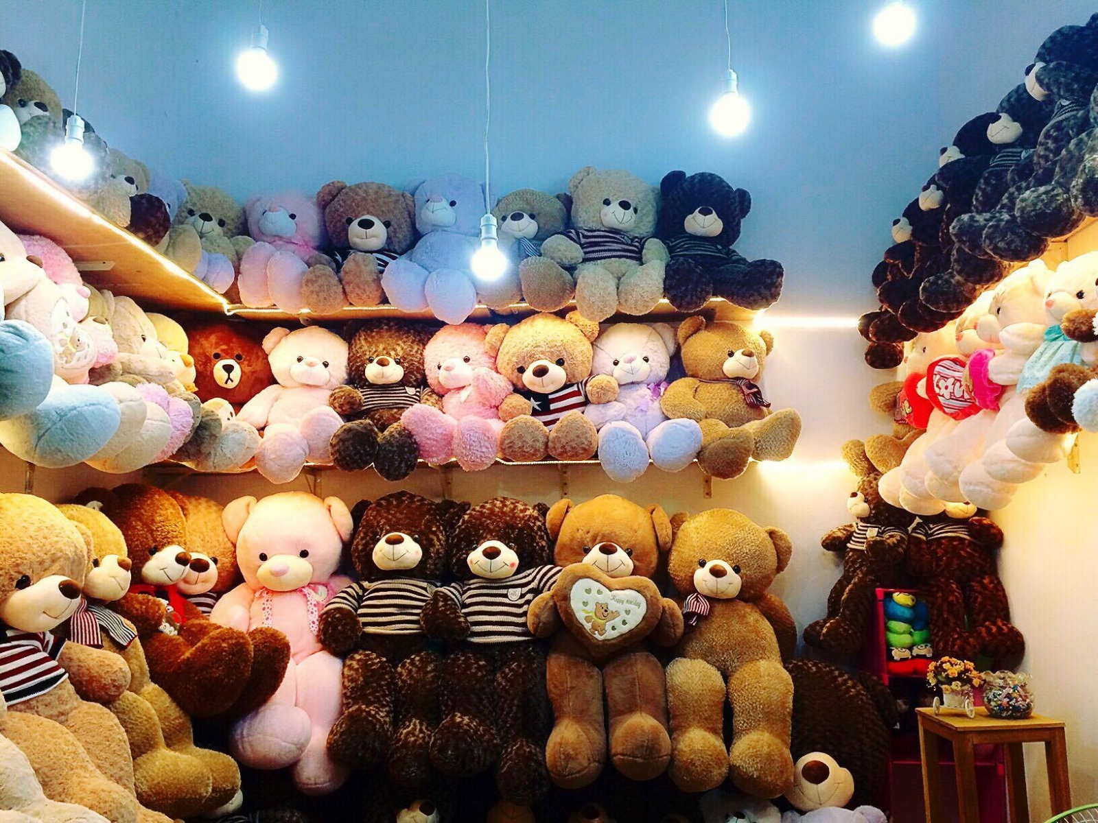 Top 10 cửa hàng bán gấu bông đẹp nhất Đà Nẵng