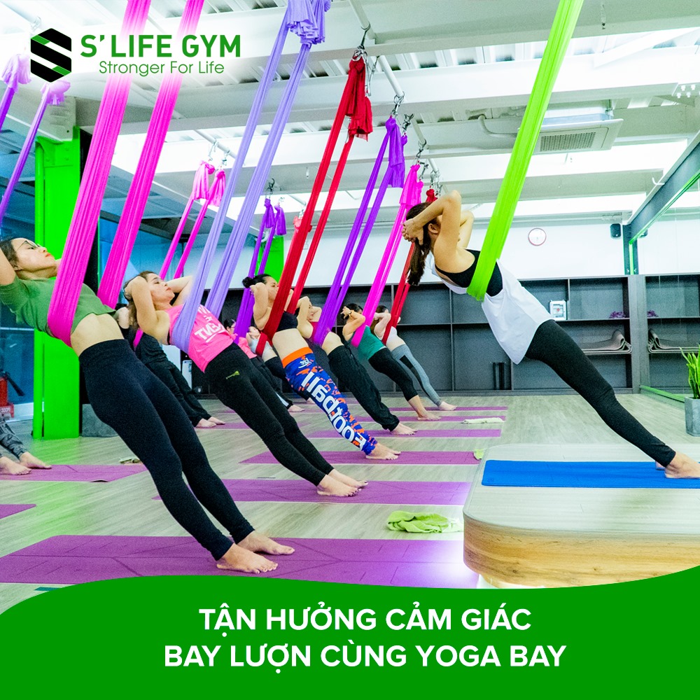 Top 10 phòng tập yoga uy tín và chất lượng nhất TPHCM