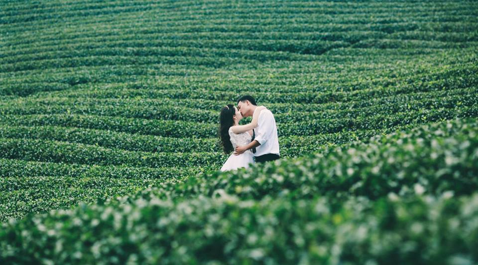 Top 10 địa điểm chụp ảnh cưới đẹp nhất tại Nghệ An