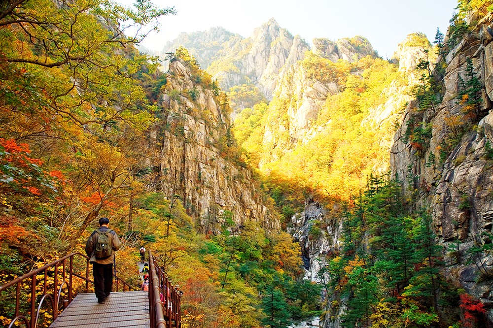 Top 12 địa điểm du lịch nổi tiếng nhất Seoul