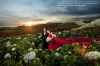 Top 9 studio chụp ảnh cưới đẹp nhất Đà Lạt, Lâm Đồng