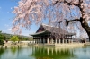 Top 12 địa điểm du lịch nổi tiếng nhất Seoul, Hàn Quốc