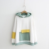 Áo hoodie 1 túi lớn
