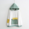 Áo hoodie 1 túi lớn