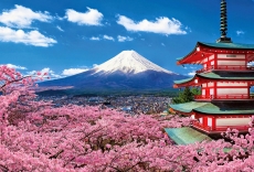 Top 10 cảnh đẹp Nhật Bản bạn nên đến dù chỉ một lần trong đời